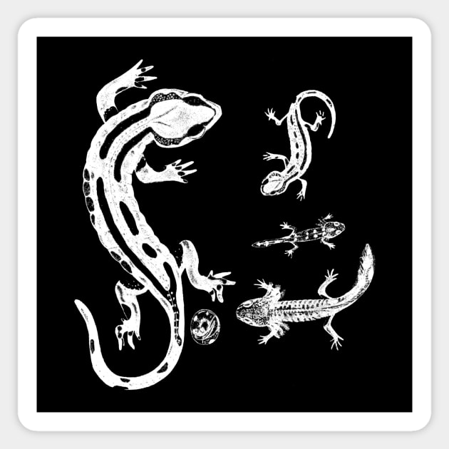 Salamander - white version Sticker by metaphysical